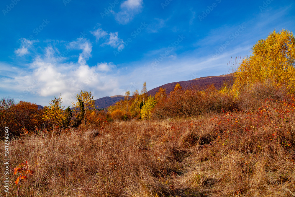 Fototapeta premium Landscape of autumnal peaks of the Carpathians.