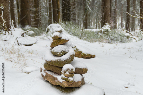 Steindauben Winter Wald photo