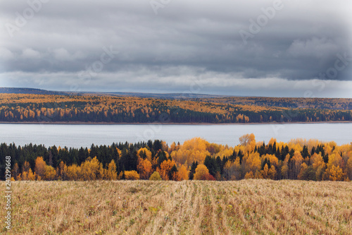 landscape in autumn