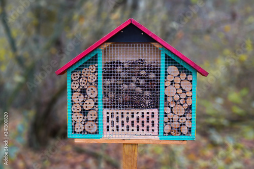 Close up of a colorful wood insect house hotel structure created to provide shelter for insects like bees to prevent extinction © Firn