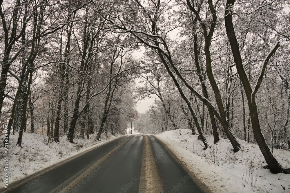 Morning frosty alley road during winter, difficult condition for driving, high risk of crash