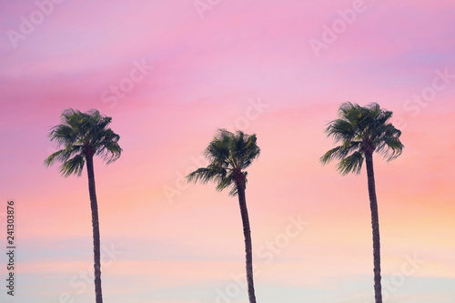 silhouette tropical palm tree with sun light on sunset sky. Copy space. Summer vacation and  travel concept. © flowertiare