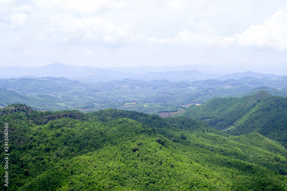 View of mountain forest landscape under sunlight in the middle of the summer with heavy blue sky as a background. Green wood mountain forest in clouds scenery