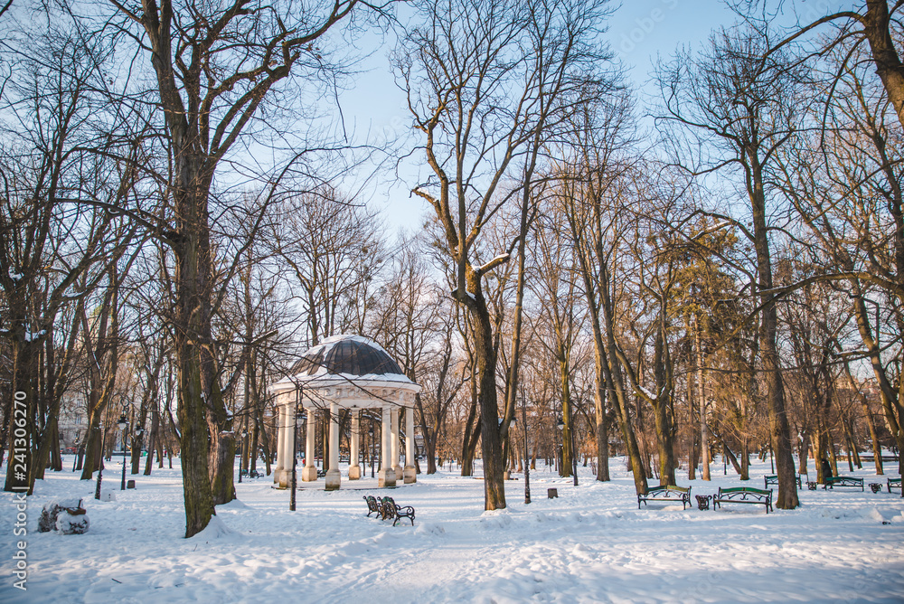view of snowed winter park of european city