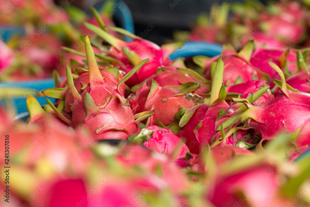 Fresh pitahaya fruit or ripe dragon fruit red color design for healthy article picture and plantation guide book design. Fresh pitahaya fruit or ripe dragon fruit red color design for healthy article picture and plantation guide book design.