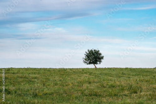 East Kazakhstan Nature in Summer