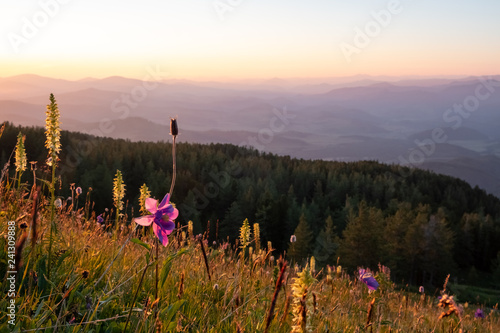 Sunset above the hills