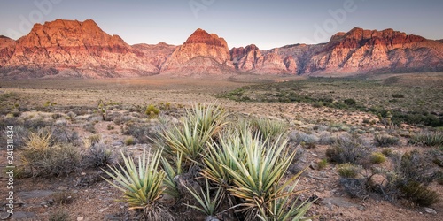 Red Rock canyon at sunrise