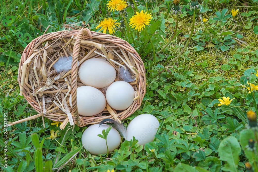 Easter holiday concept: wicker basket with eggs on the green grass Easter holiday concept: wicker basket with eggs on the green grass