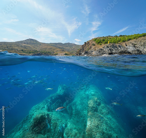 France Mediterranean sea marine reserve fish photo