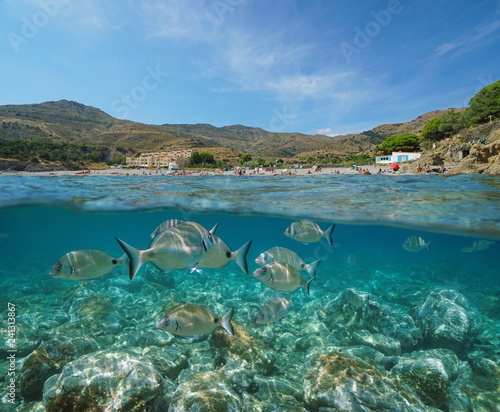 France coastline beach with fish underwater photo