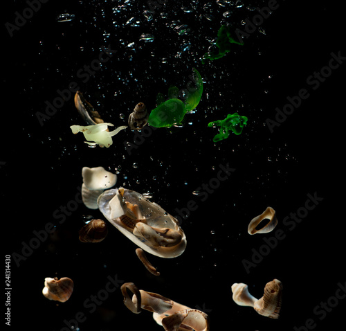 seashells, seashells and children's toys under water on black background