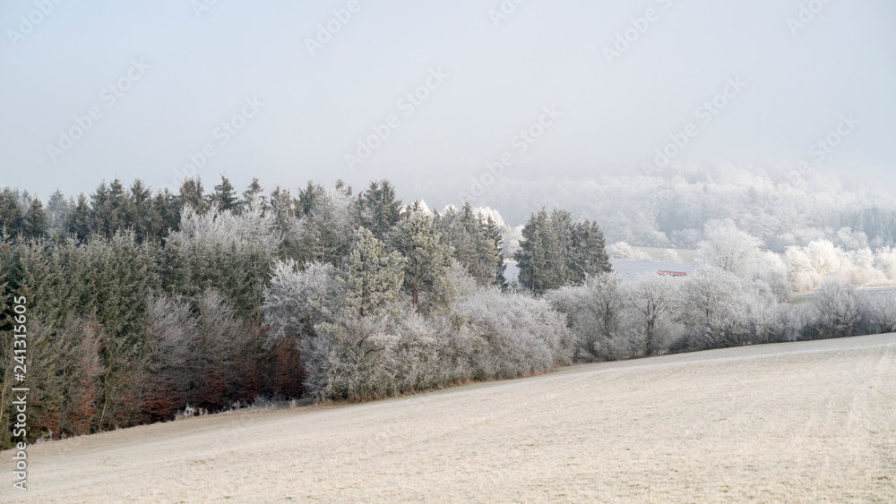 Winterlandschaft an einem kalten Wintermorgen im Dezember Winterlandschaft an einem kalten Wintermorgen im Dezember