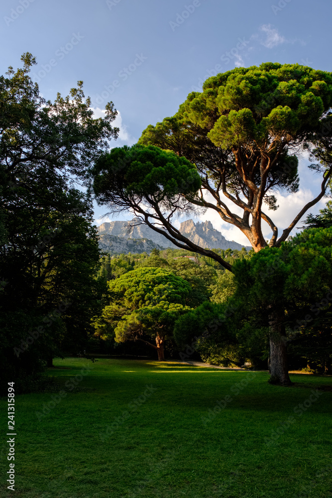 Vorontsov Park, Crimea