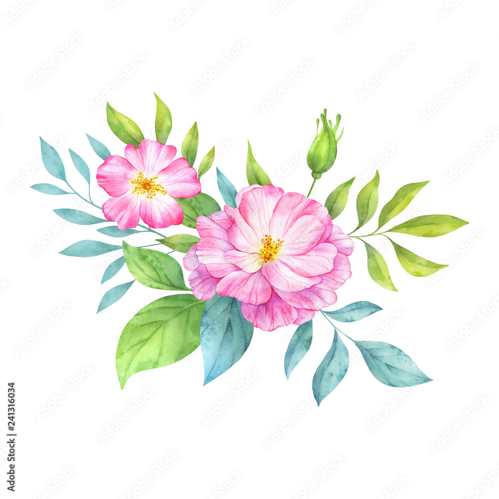 Obraz premium Watercolor bouquet with wild rose flowers, buds, green leaves and branches. Painted botanical illustration. Hand drawn floral design elements isolated on white background.
