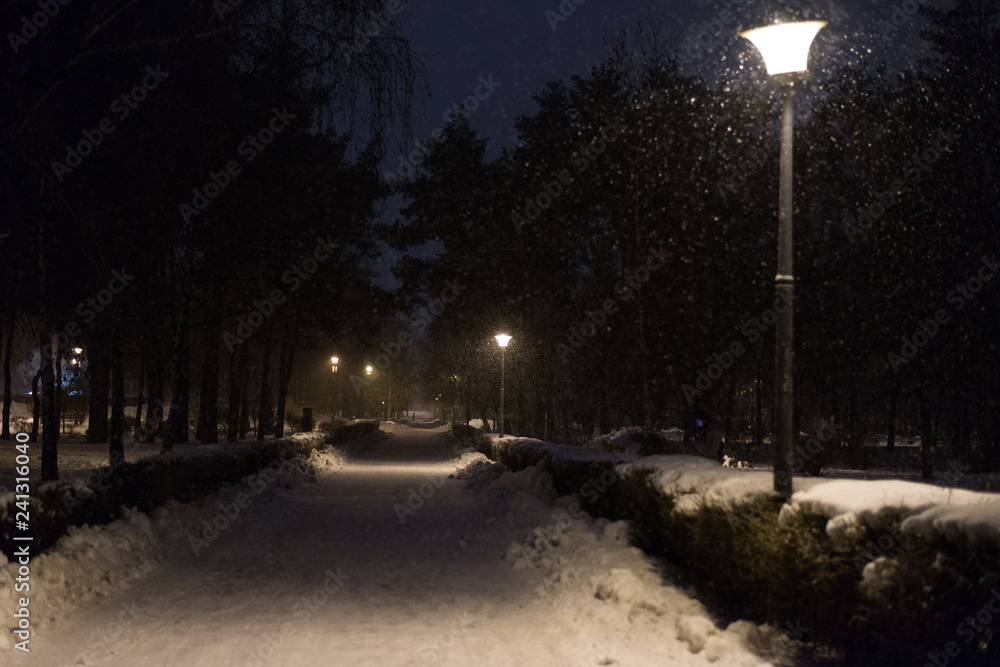 Park alley with falling snow at night.