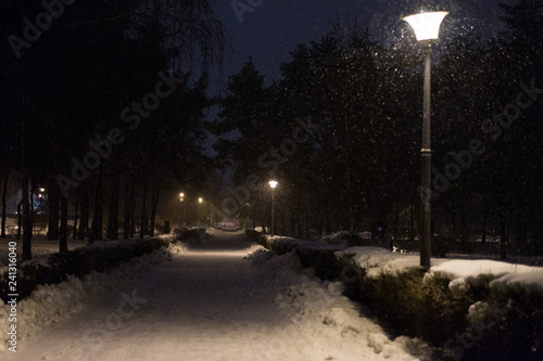 Park alley with falling snow at night.