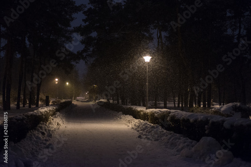 Park alley with falling snow at night. © Konstiantyn Zapylaie