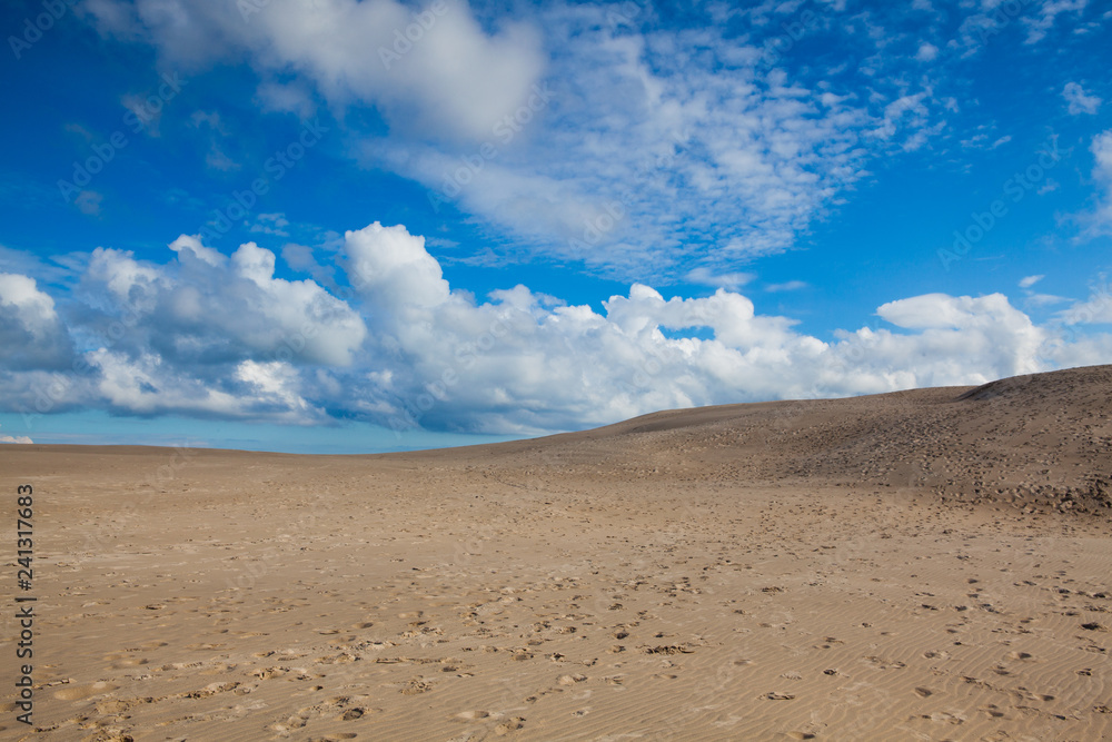 Rabjerg Mile is a migrating coastal dune, Denmark.