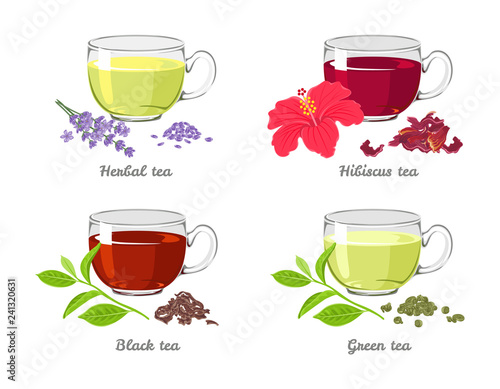 Set of different tea in glass cups isolated on white background. Herbal, Hibiscus, Green, Black. Vector illustration in cartoon flat style.