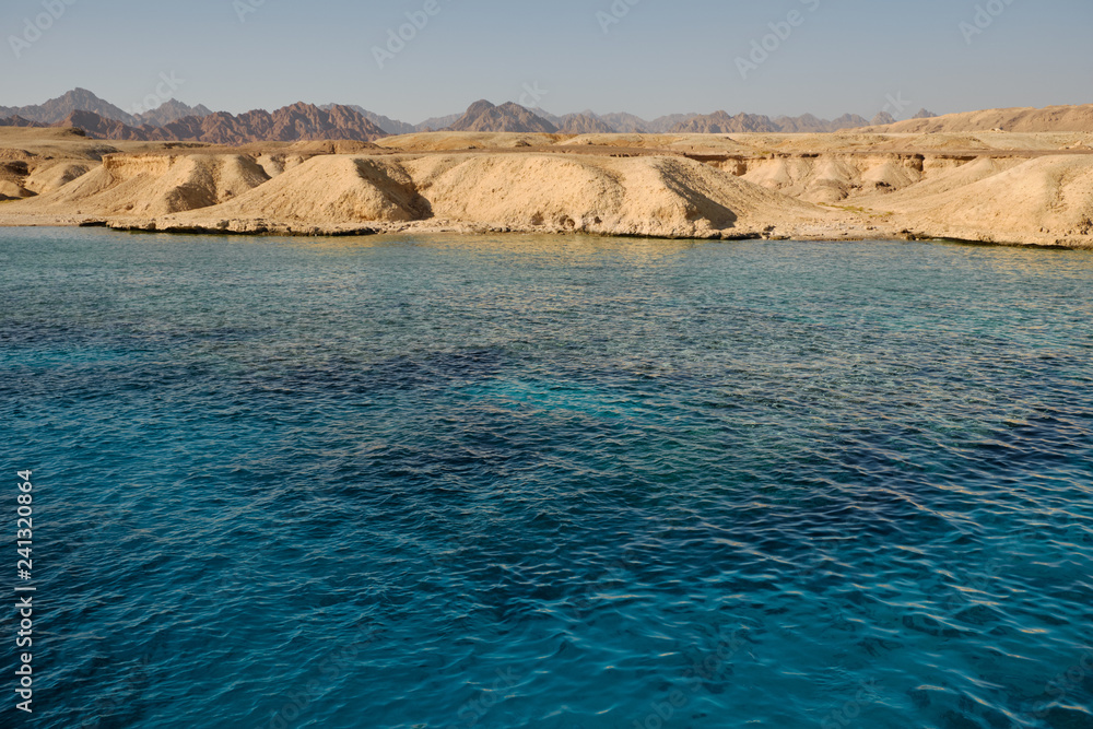 Coral reef in the Red sea near the shore of a sand island.
