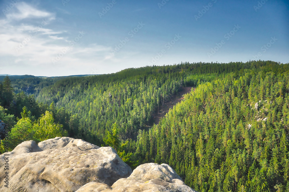 Austrian landscape of the forest in the mountains.