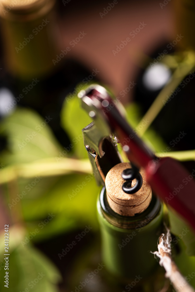 Wine Bottle closeup