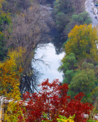 Colorful leaves in autumn around lake