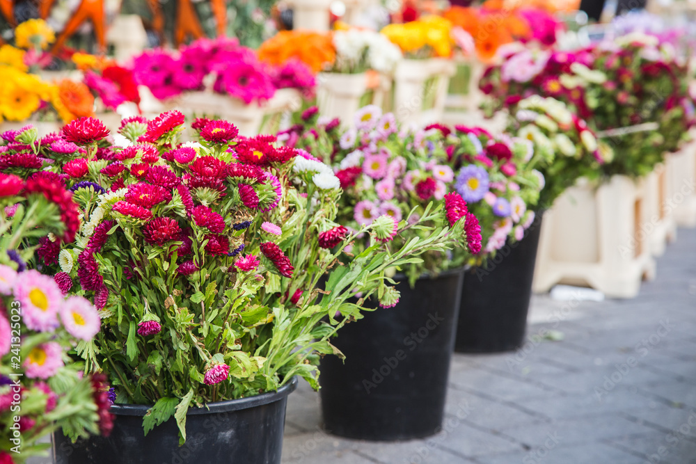Flowers in a market of Provence, France