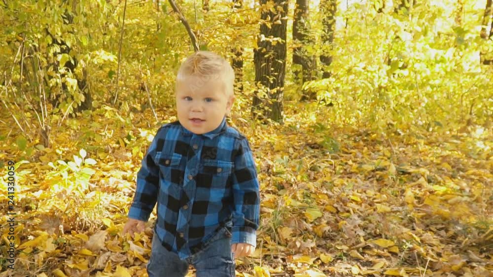 little boy in the autumn forest little boy in the autumn forest