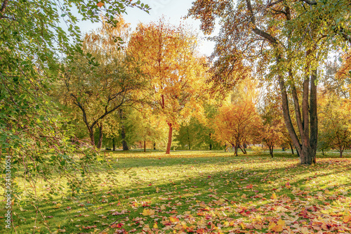 autumn landscape  Tsaritsyno park  Russia  Moscow  yellow foliage