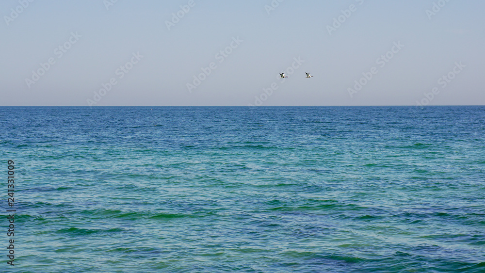 Minimalist landscape with two birds flying over a vast blue sea. Negative space seascape.