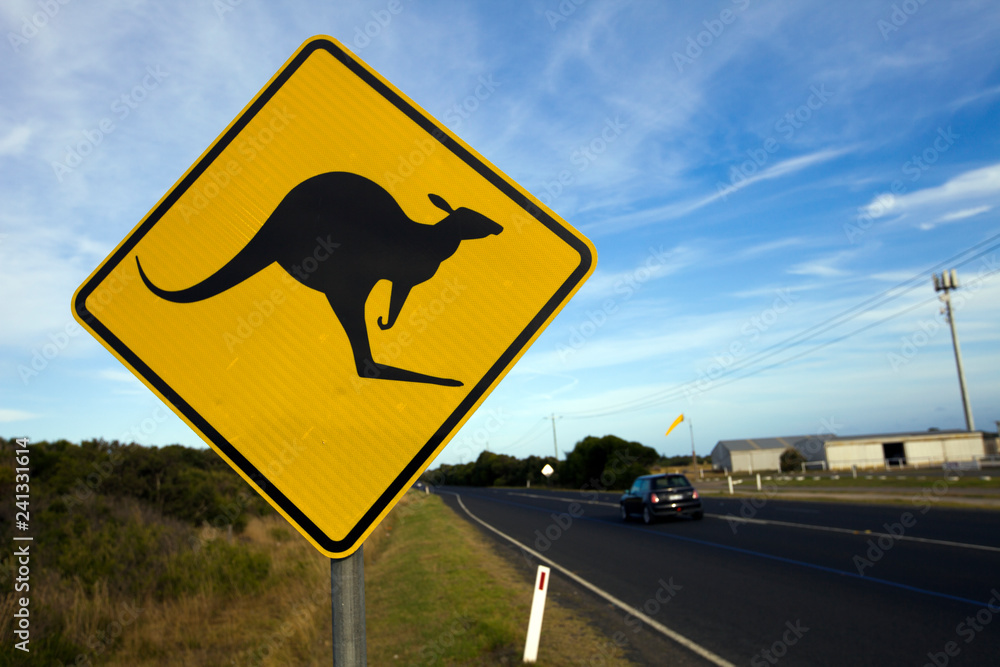 traffic sign for kangaroo crossing considered to be very common in the Australian lands. traffic sign for kangaroo crossing considered to be very common in the Australian lands.