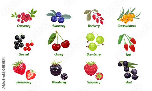 Set of berries isolated on white background. Raspberry, Blackberry, Strawberry, Gooseberry, Cherry, Currant, Sea buckthorn, Blueberry, Cranberry, Acai, Goji, Barberry. Vector flat illustration. photo