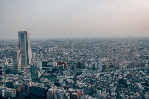View from Metropolitan Government Building in Tokyo Japan