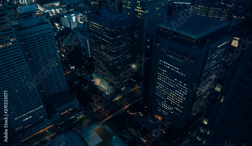 Canvas Print Tokyo at night