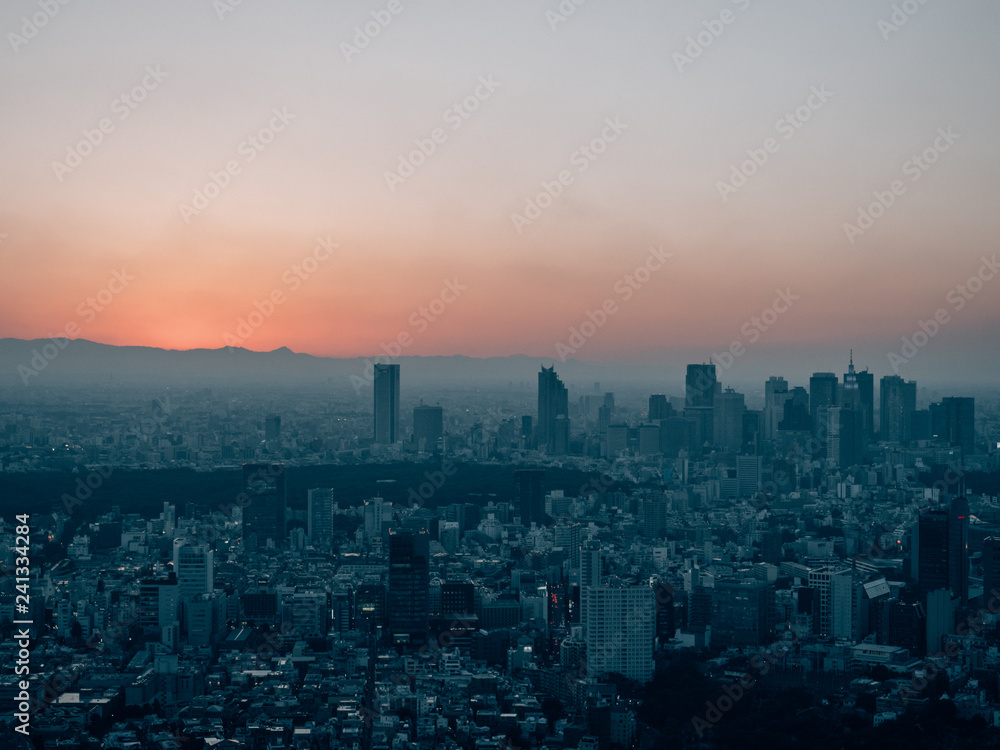 Skyline of Tokyo while Sunset