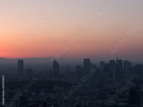 Skyline of Tokyo while Sunset © SmallWorldProduction