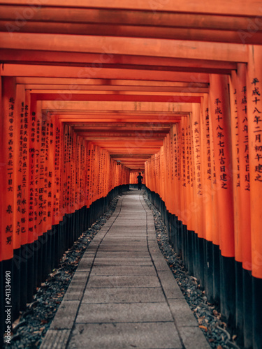 Fushimi Inari Taisha - many torii in Kyoto, Japan