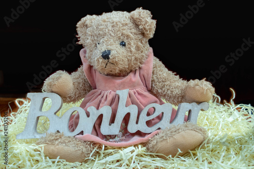 Ours En Peluche Sentiment De Bonheur La Douceur De L Enfance Nounours Avec Le Mot Bonheur Ecrit En Francais Sculpte En Bois Stock Photo Adobe Stock Ours En Peluche Sentiment De Bonheur La Douceur De L Enfance Nounours Avec Le Mot Bonheur Ecrit En Francais Sculpte En Bois Stock Photo Adobe Stock