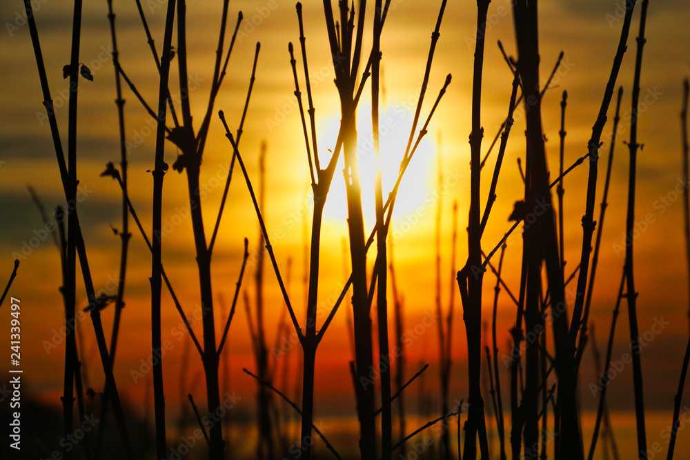 Fototapeta premium Sonnenuntergang am Schaumberg im Saarland