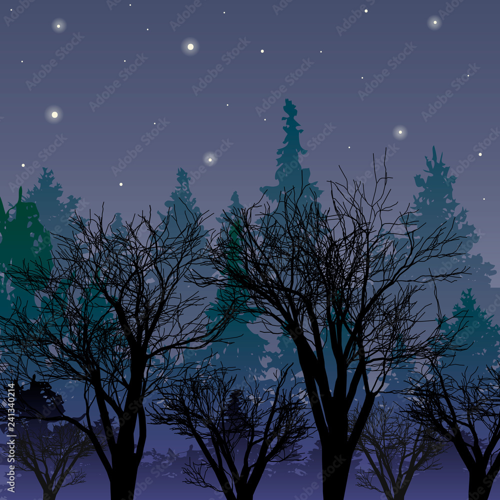 Fototapeta premium Forest at dusk. Landscape with the first stars