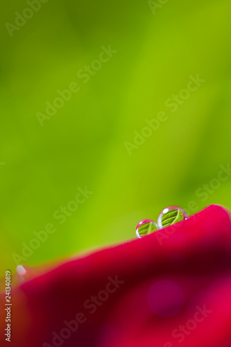 Pair of water droplets