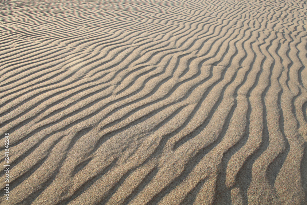Undisturbed Ripple patterns in sand. Undisturbed Ripple patterns in sand.