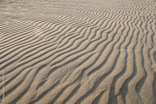 Fototapeta Naklejka Na Ścianę i Meble -  Undisturbed Ripple patterns in sand.