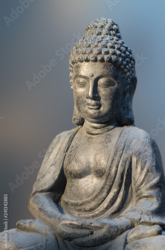Buddha statue sitting in meditation pose against blurred background.
