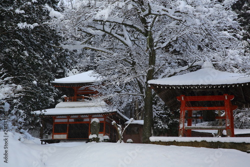 冬の極楽寺 © yspbqh14