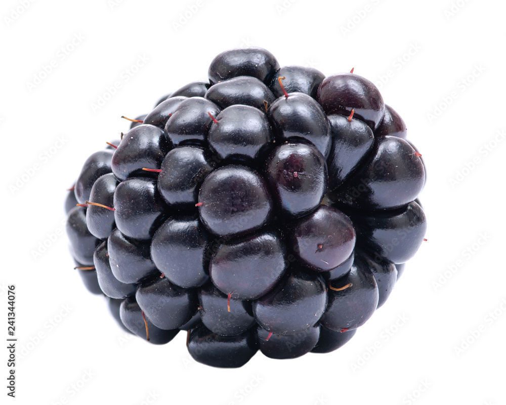 Macro shot of fresh ripe organic blackberry isolated on white background. Macro shot of fresh ripe organic blackberry isolated on white background.