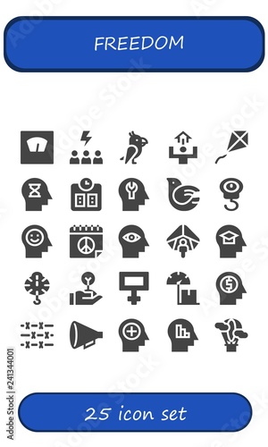 Vector icons pack of 25 filled freedom icons