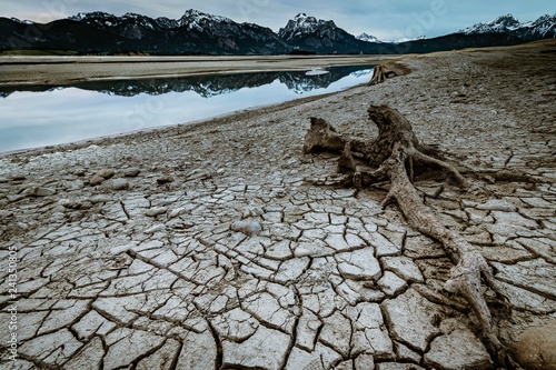 Tree root on dried out soil with small water area and Allgau Alps in the background, Forggensee, Fussen, Ostallgau, Bavaria, Germany, Europe photo